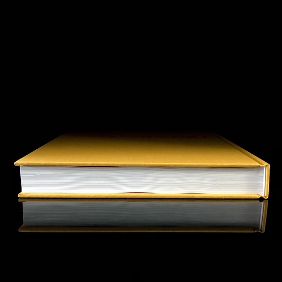 Coffee Table Art Book | Bob Rauschenberg Art and Life | Large | with Dust Jacket - Picture 13 of 14